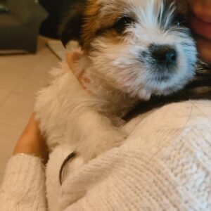Jack EnGi Bella